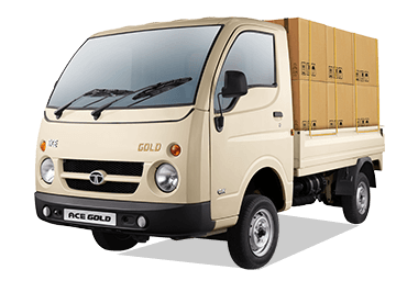 Tata Ace Gold Petrol